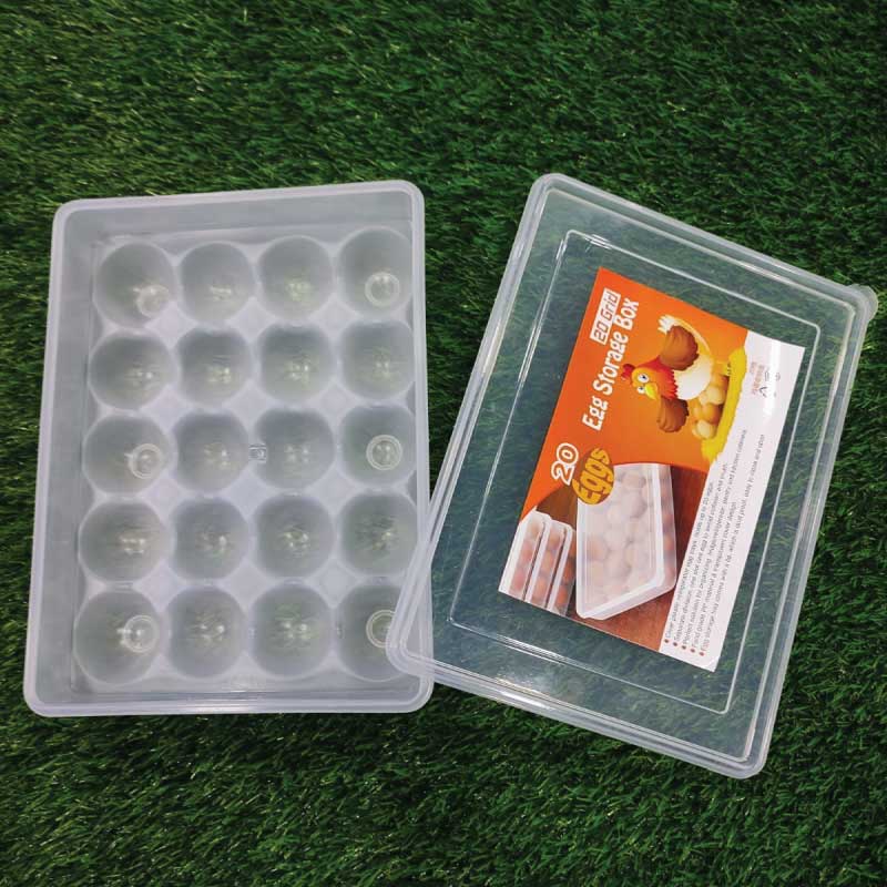 Large Capacity Egg Box 20