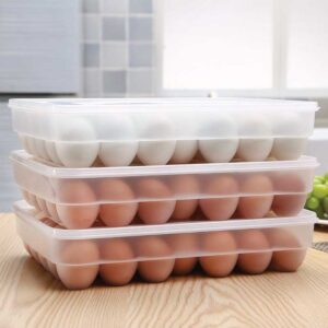 Large Capacity Egg Box 34 Grid